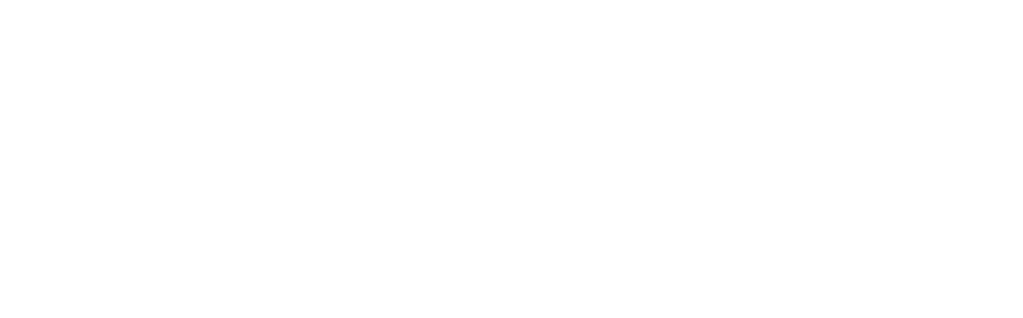 FactuBot